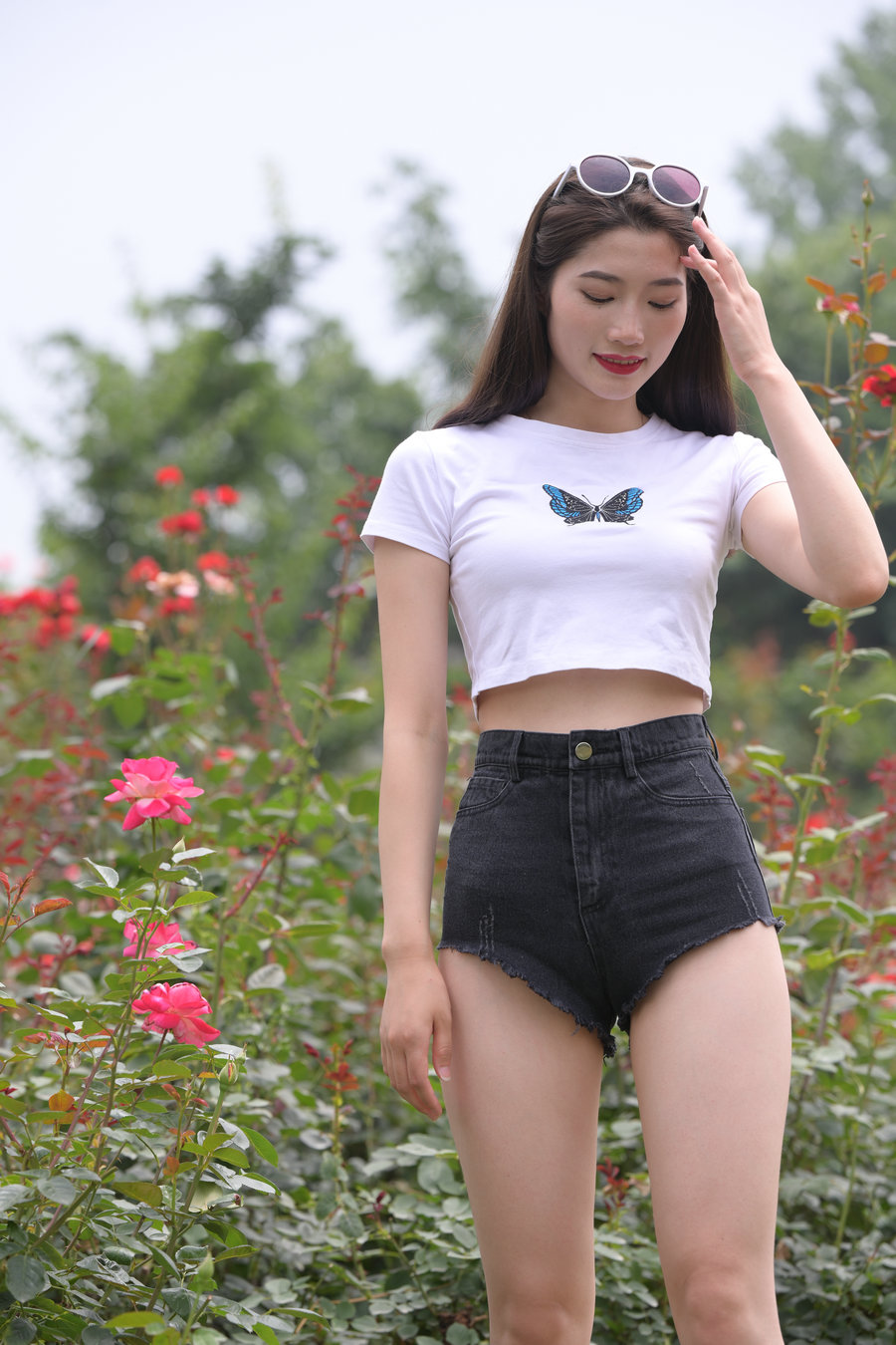 图片[1]-J1895 873P1V-25.6GB-西哈图库