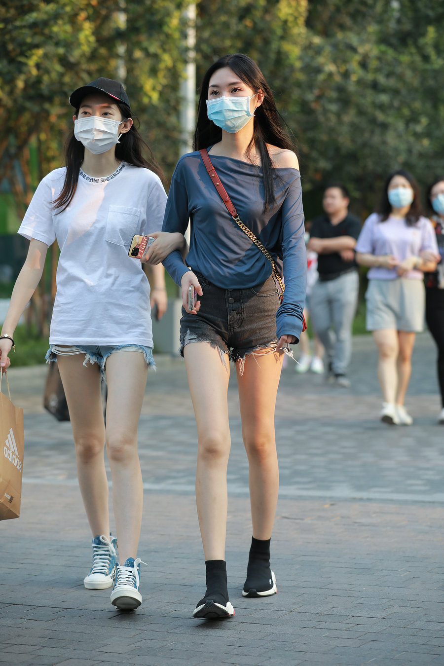 图片[1]-J1703 54P-503MB-西哈图库