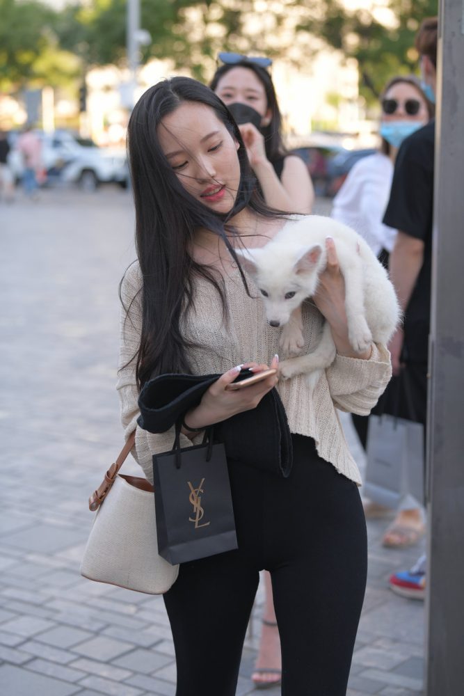 抱着小狗的漂亮女孩 J2106 136P-3.25GB-西哈图库